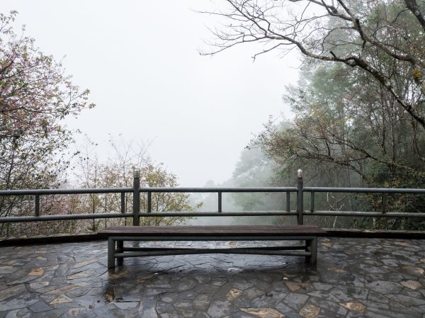 Stone Terrace Repair