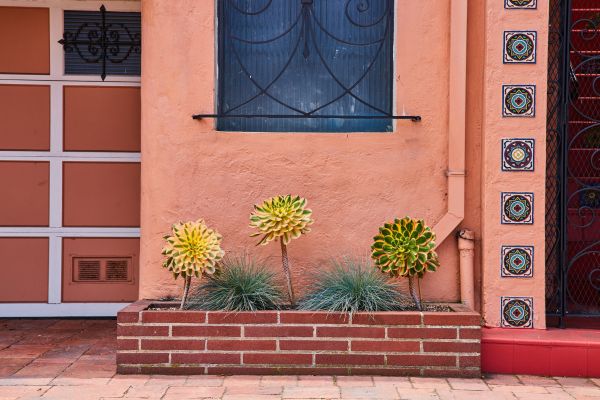 Brick Planter Installation in Saint Augustine